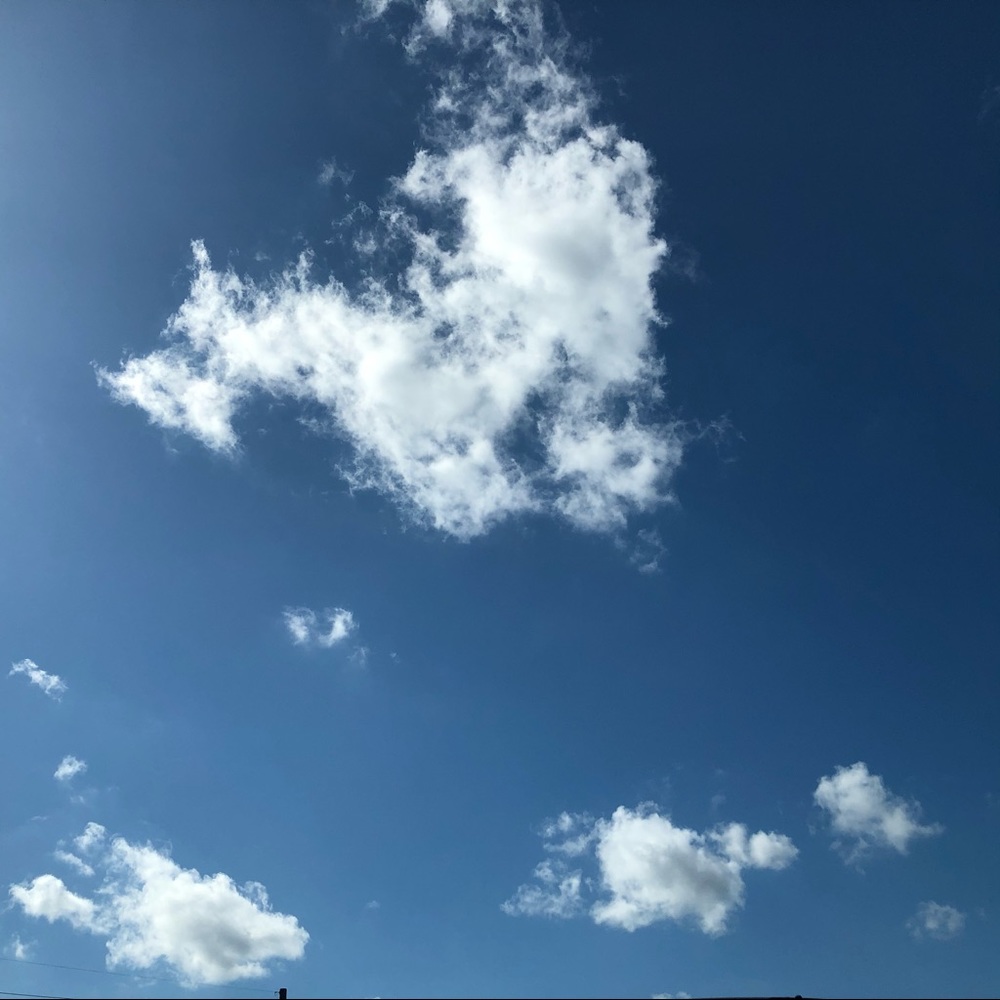 Meet your Posher, Melanie